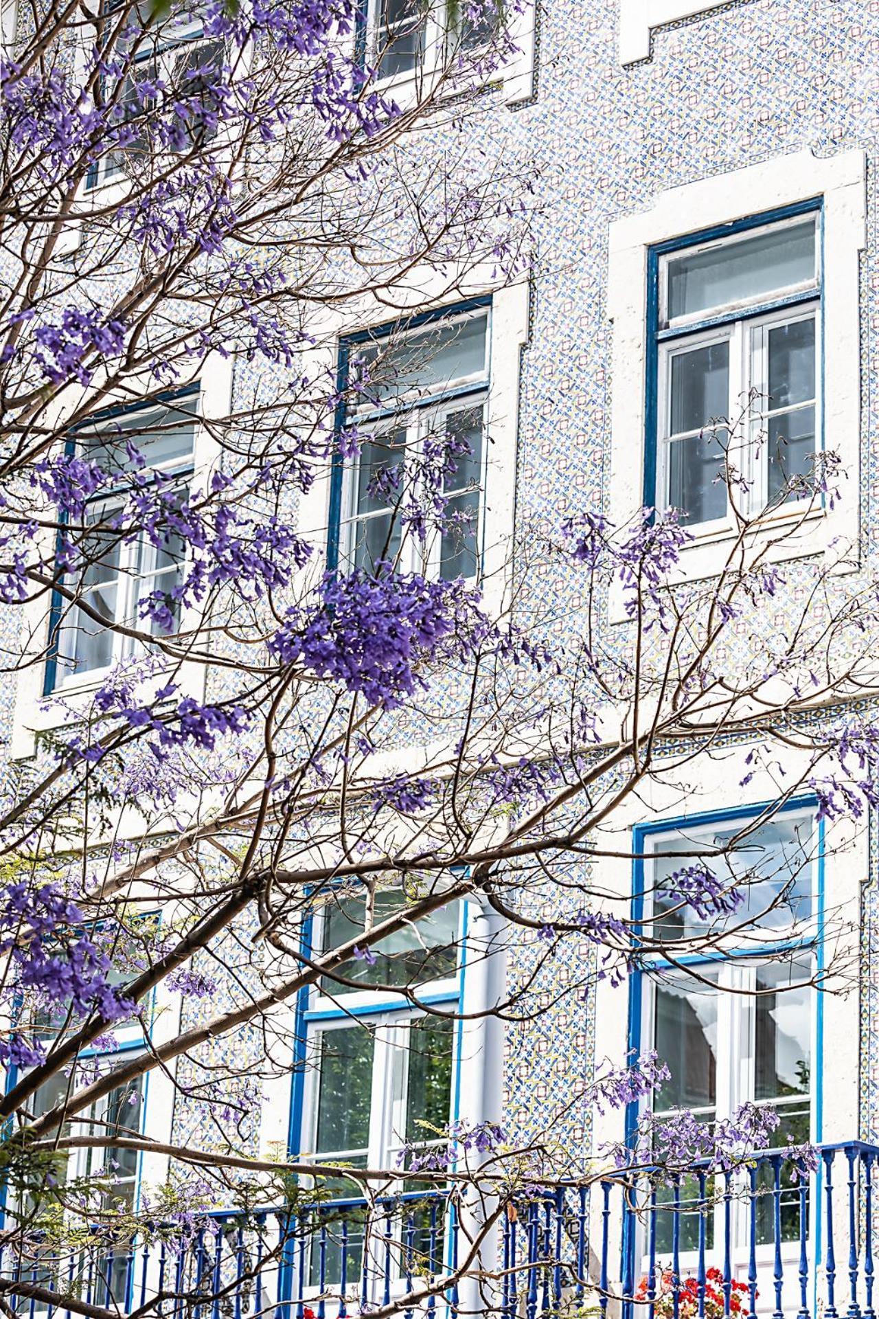Gasthof Emporium Lissabon